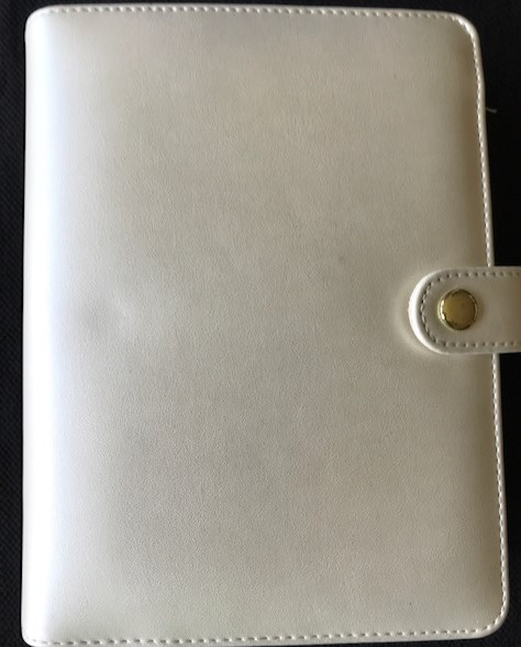 Image for Metallic Ivory 1.5-inch, 6-ring mini binder