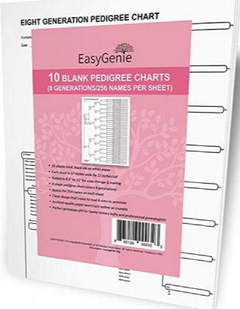Image for Easy Genie: 10 blank Pedigree Charts - 8 Generations